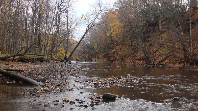 Sycamore Hole - No water.JPG